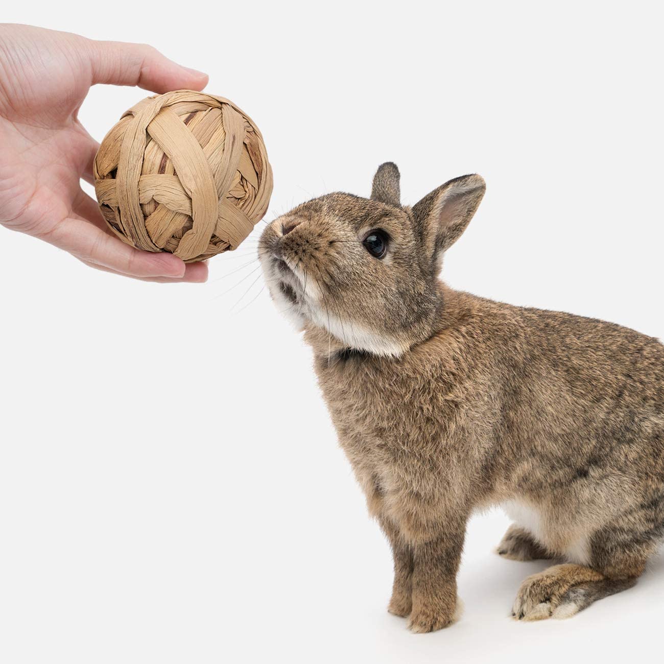 Pelotas de material vegetal masticables