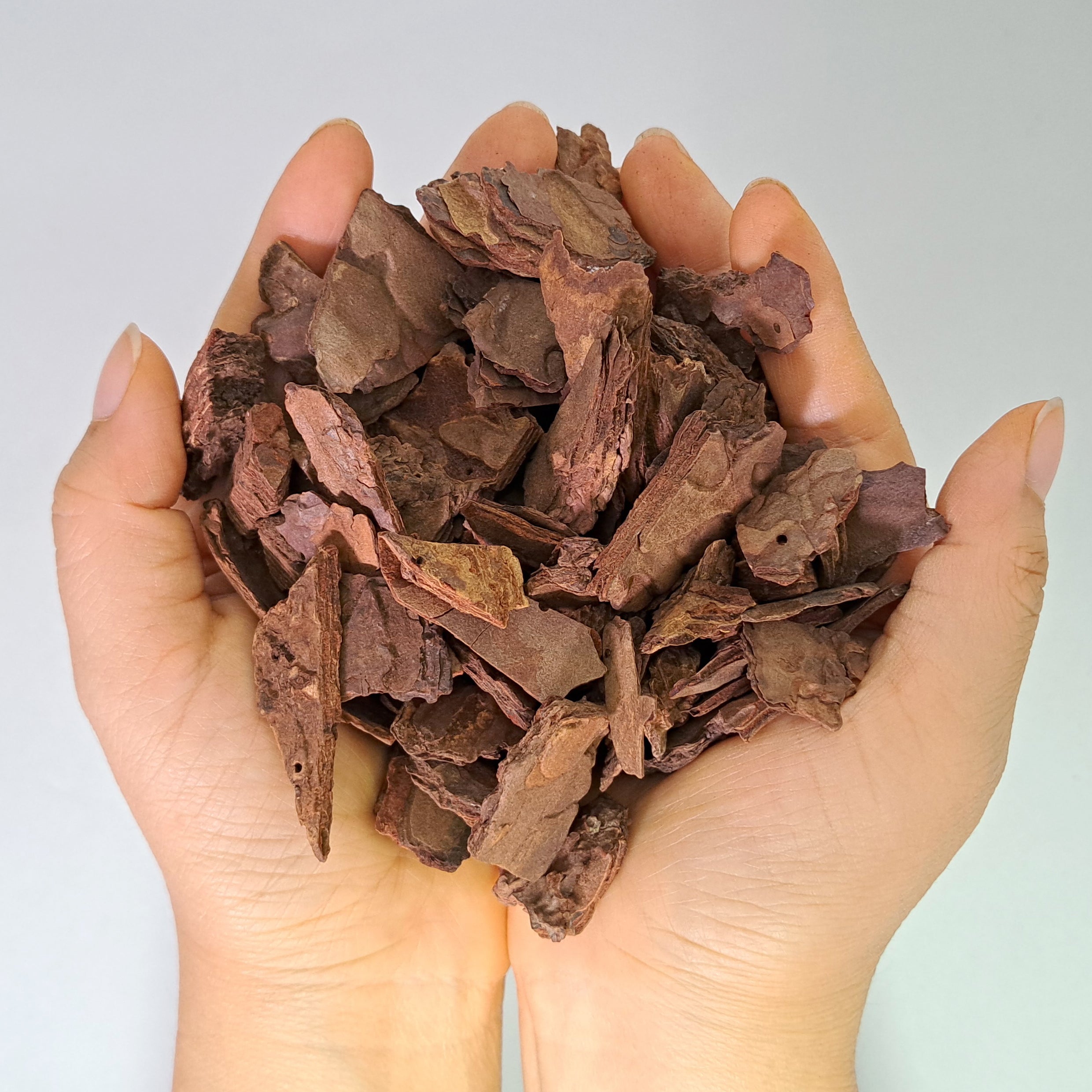 Corteza de pino mediana para orquideas 1kg