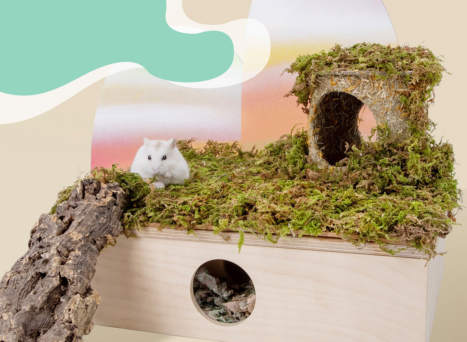 Musgo Seco para Decoracion de Habitat Hamster 100gr