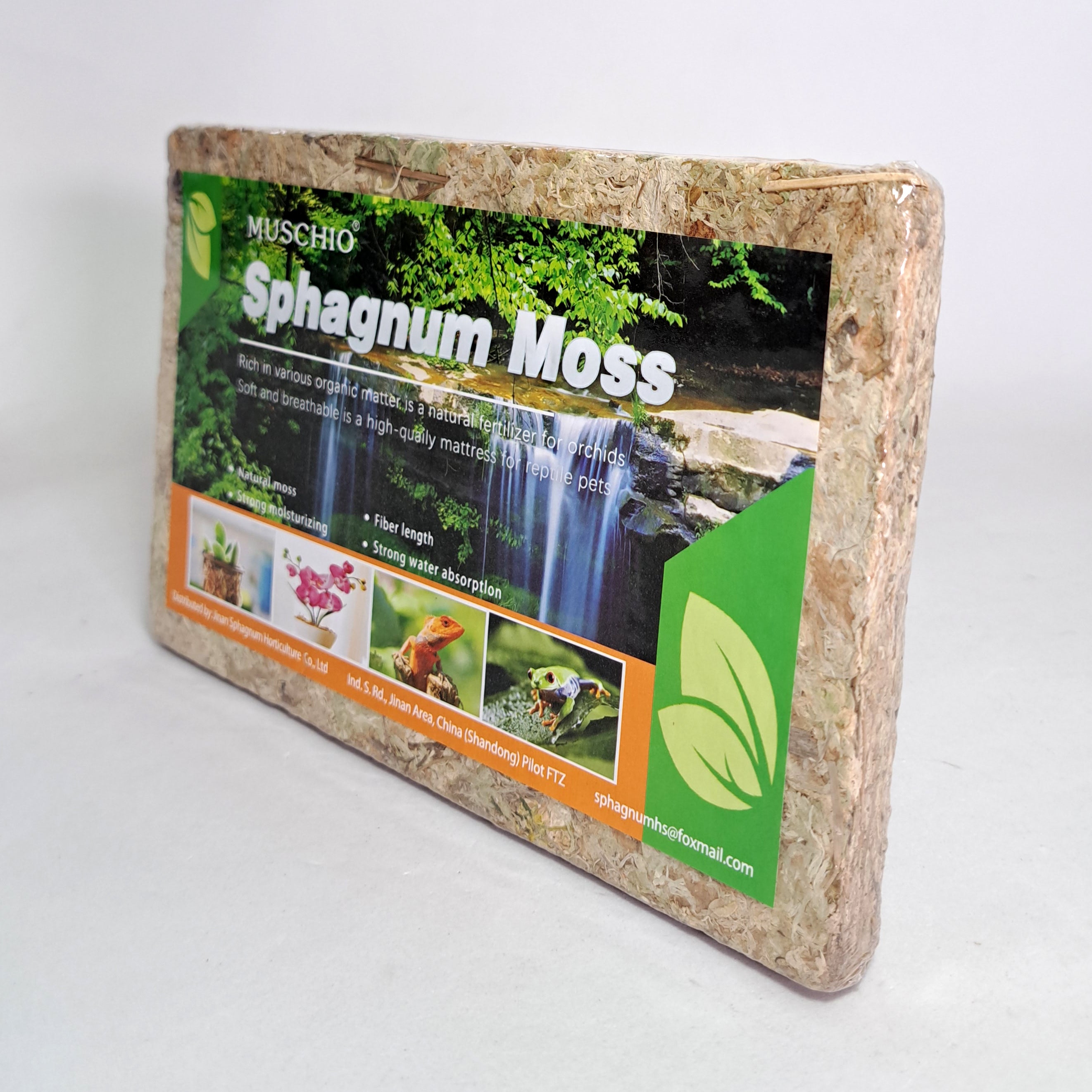 Musgo Sphagnum comprimido para orquideas 150gr