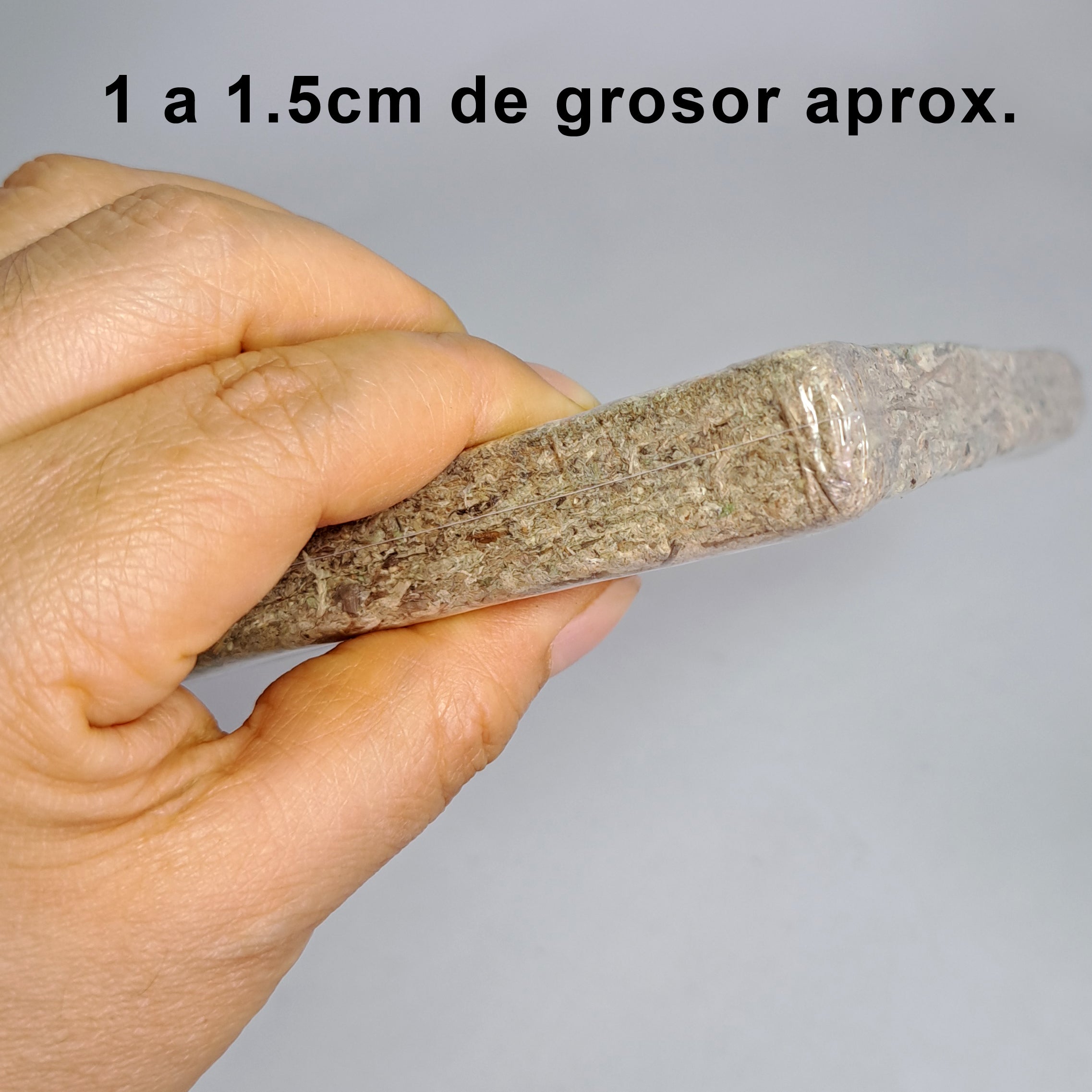 Musgo Sphagnum comprimido para orquideas 150gr