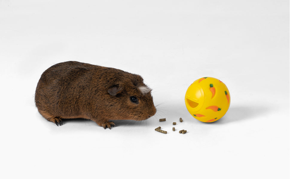 Pelota Rellenable Para Premios