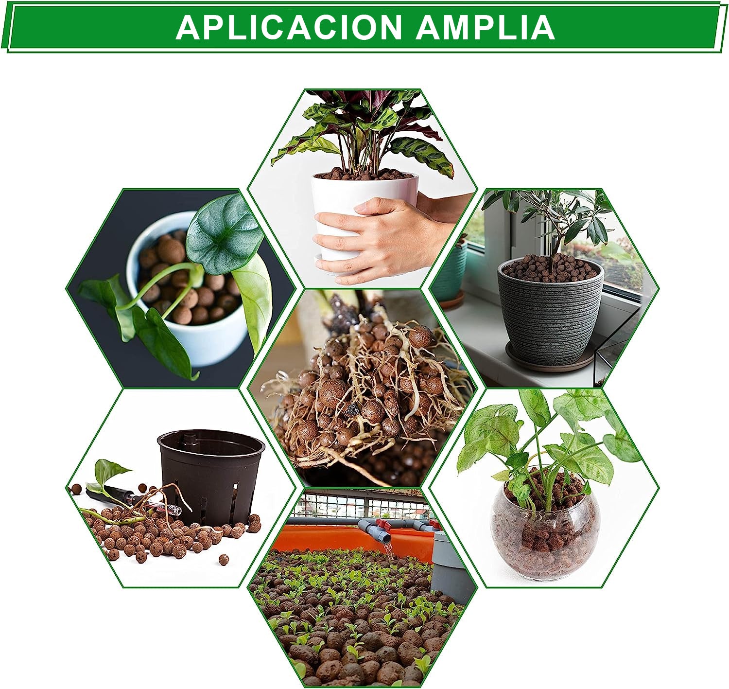 Hidroton Expanded Clay Substrate for plants 1kg
