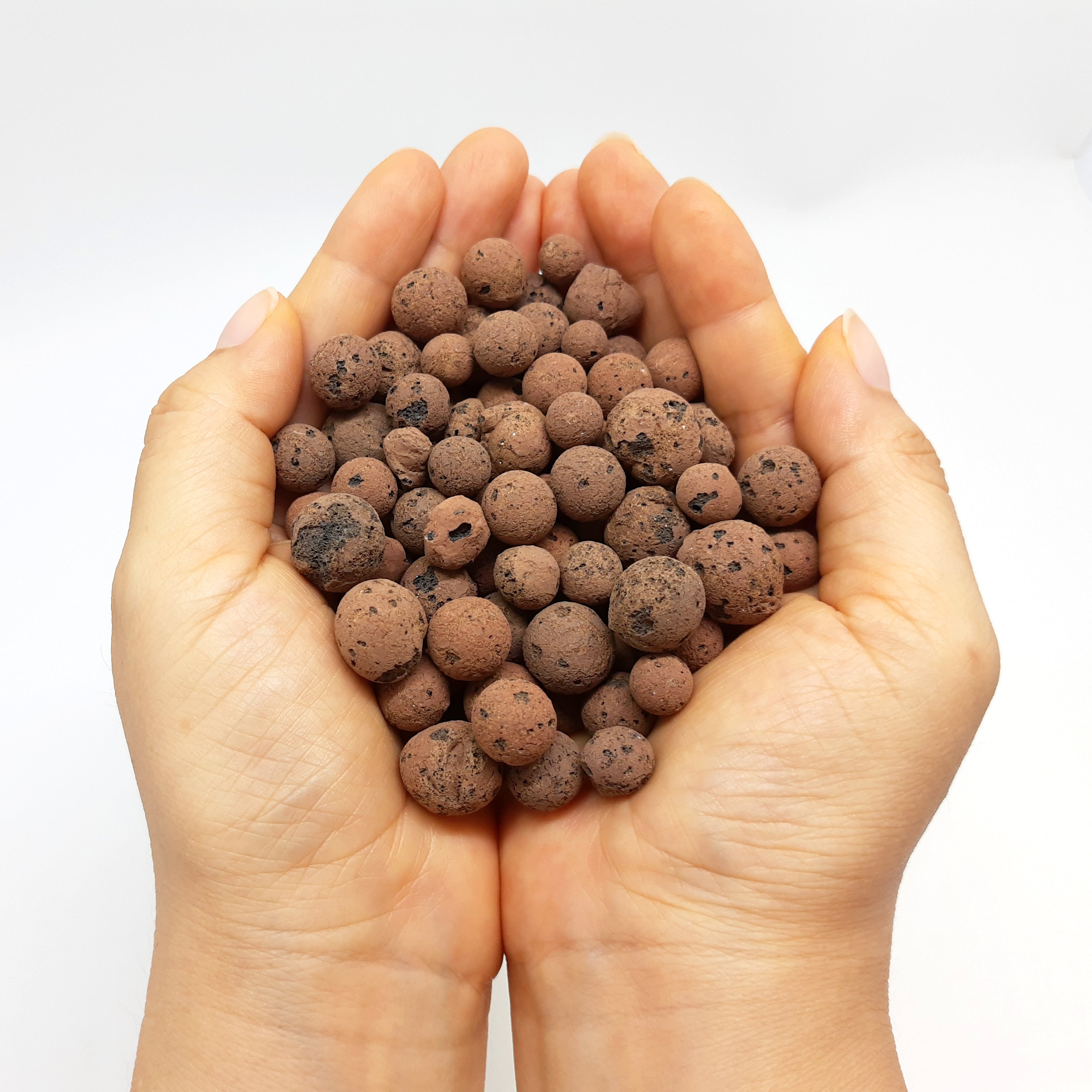 Hidroton Expanded Clay Substrate for plants 1kg
