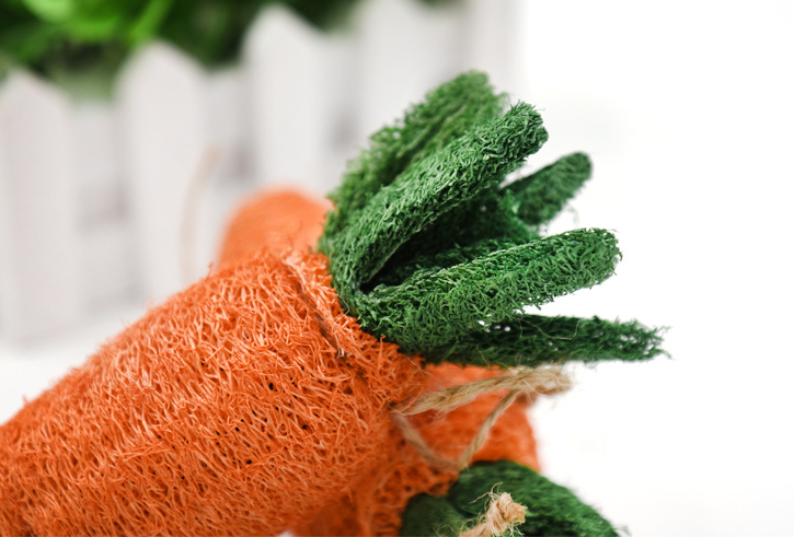 Zanahoria de estropajo Vegetal para roer