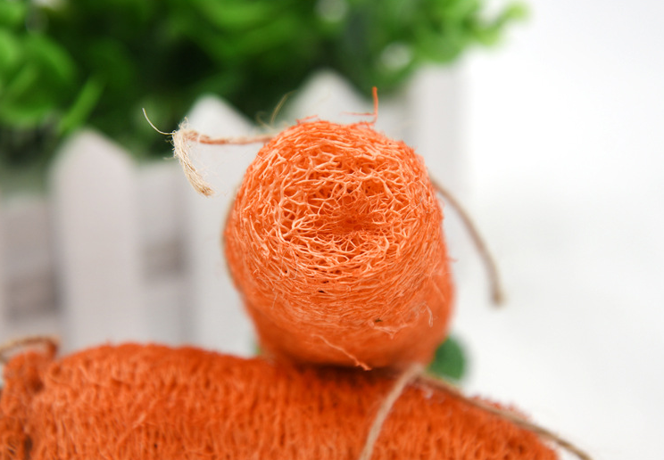 Zanahoria de estropajo Vegetal para roer