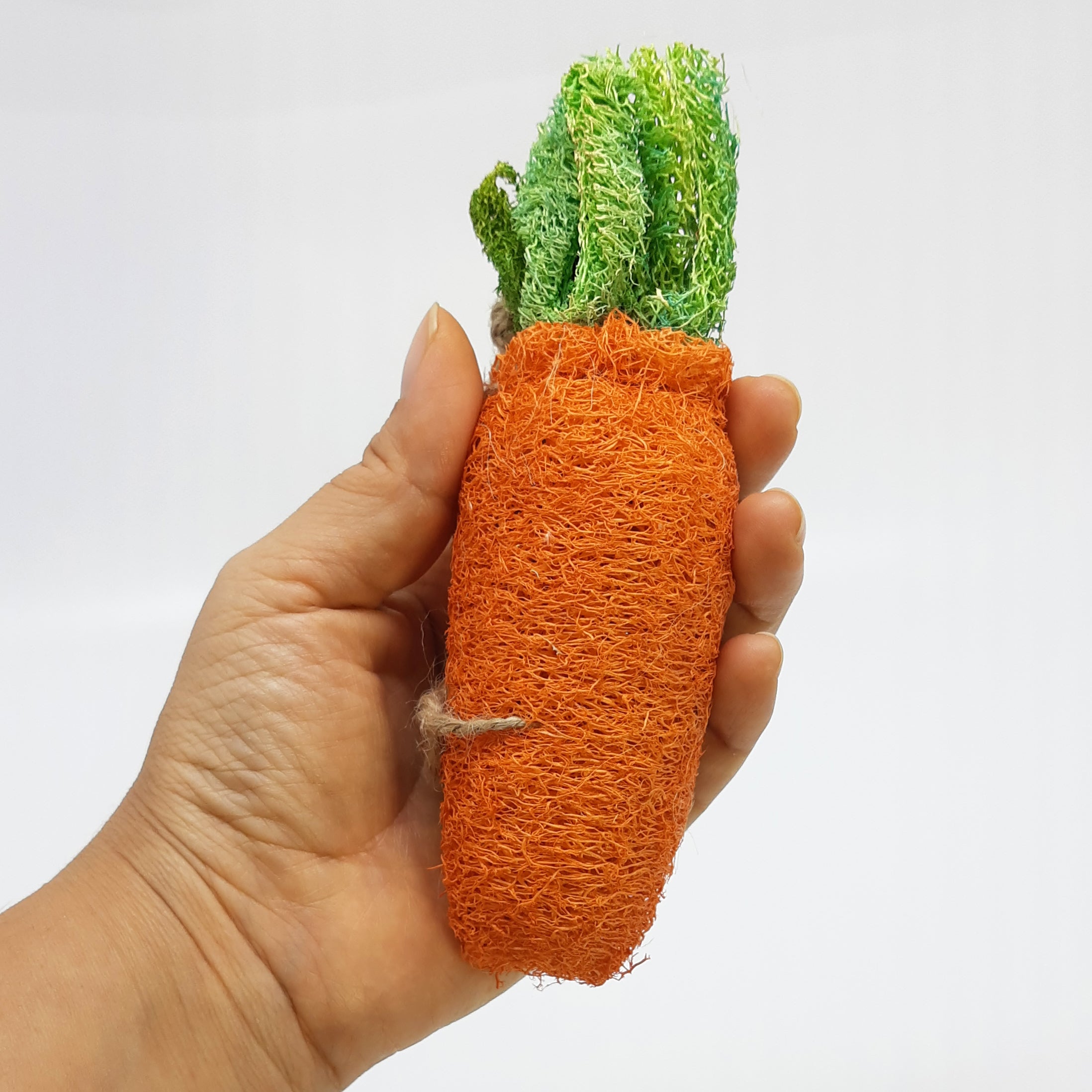 Zanahoria de estropajo Vegetal para roer