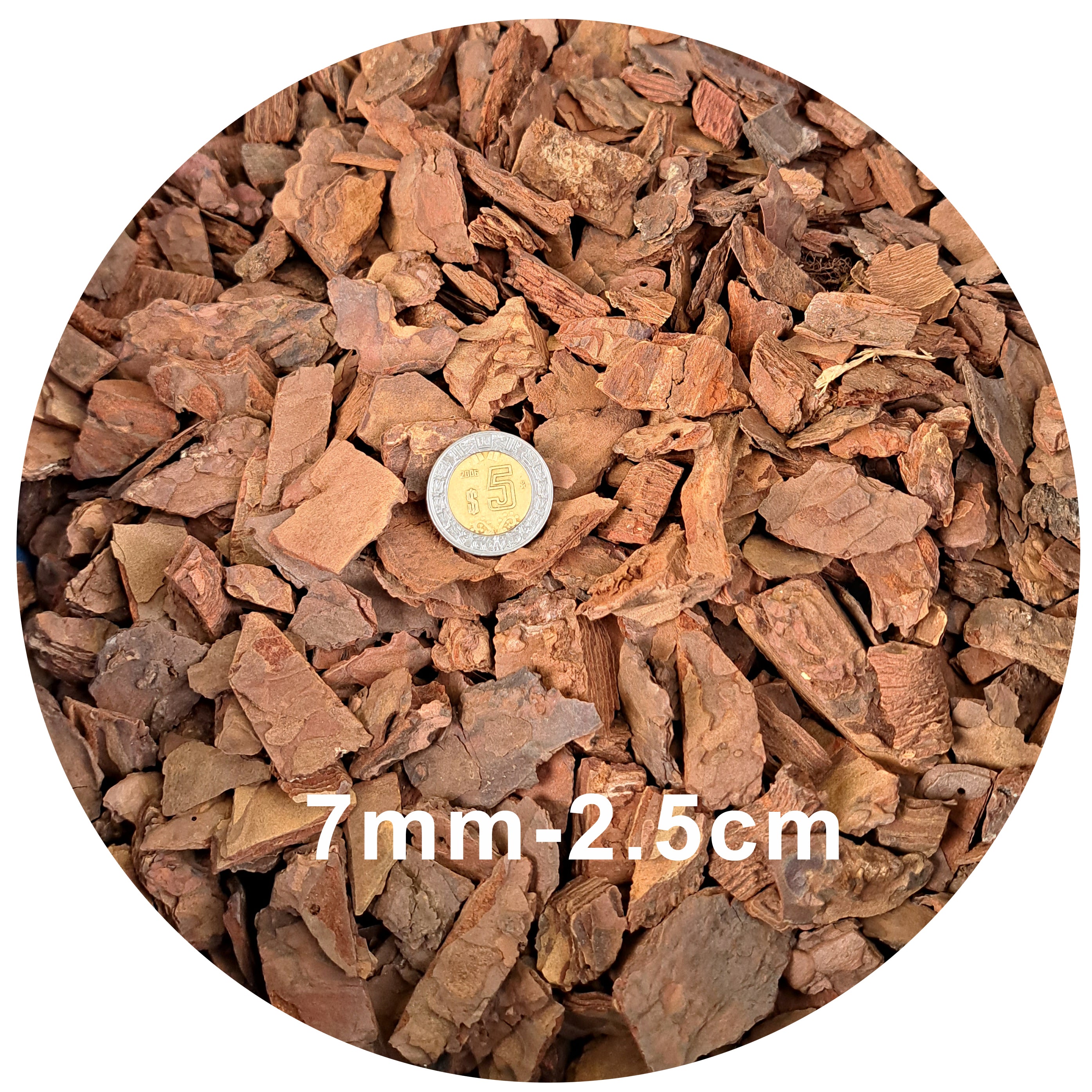 Corteza de pino mediana para orquideas 1kg