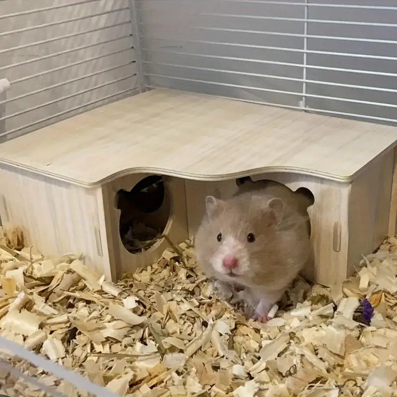 Casa laberinto de madera armable para Hamster