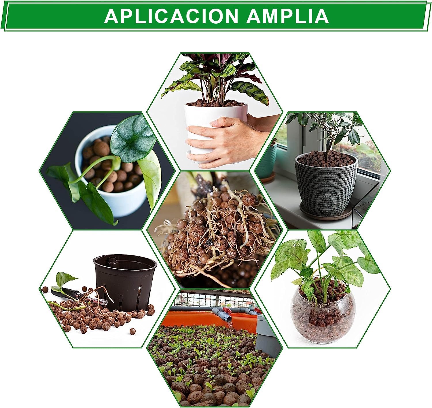 Arcilla Expandida Sustrato para plantas 5kg