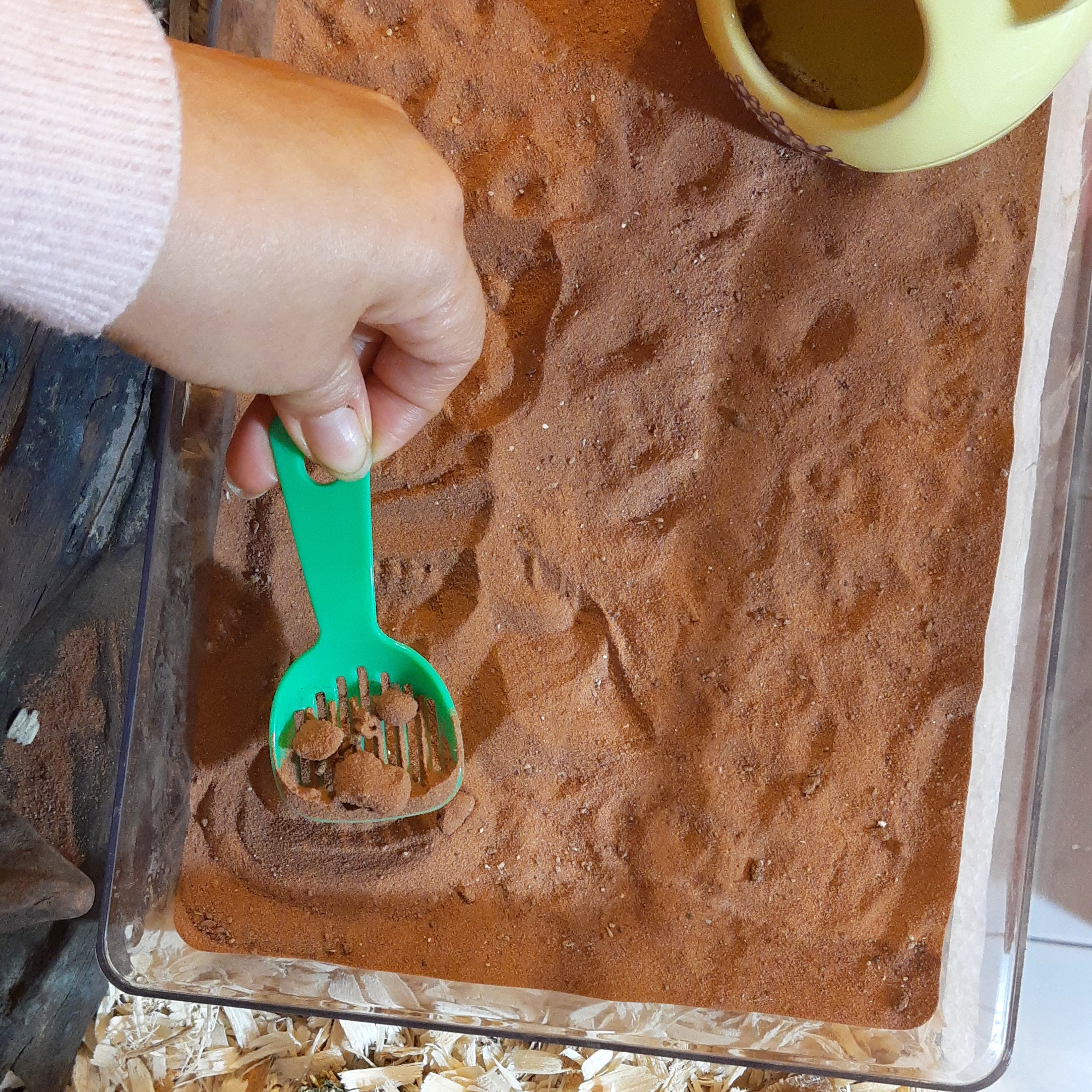 Palita Coladora para Arena De Baño Hamster